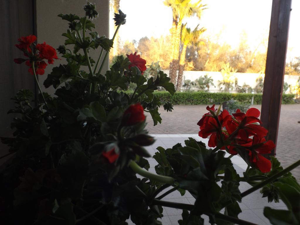 غالّيبولي Villetta Del Salento Exclusive B&B المظهر الخارجي الصورة